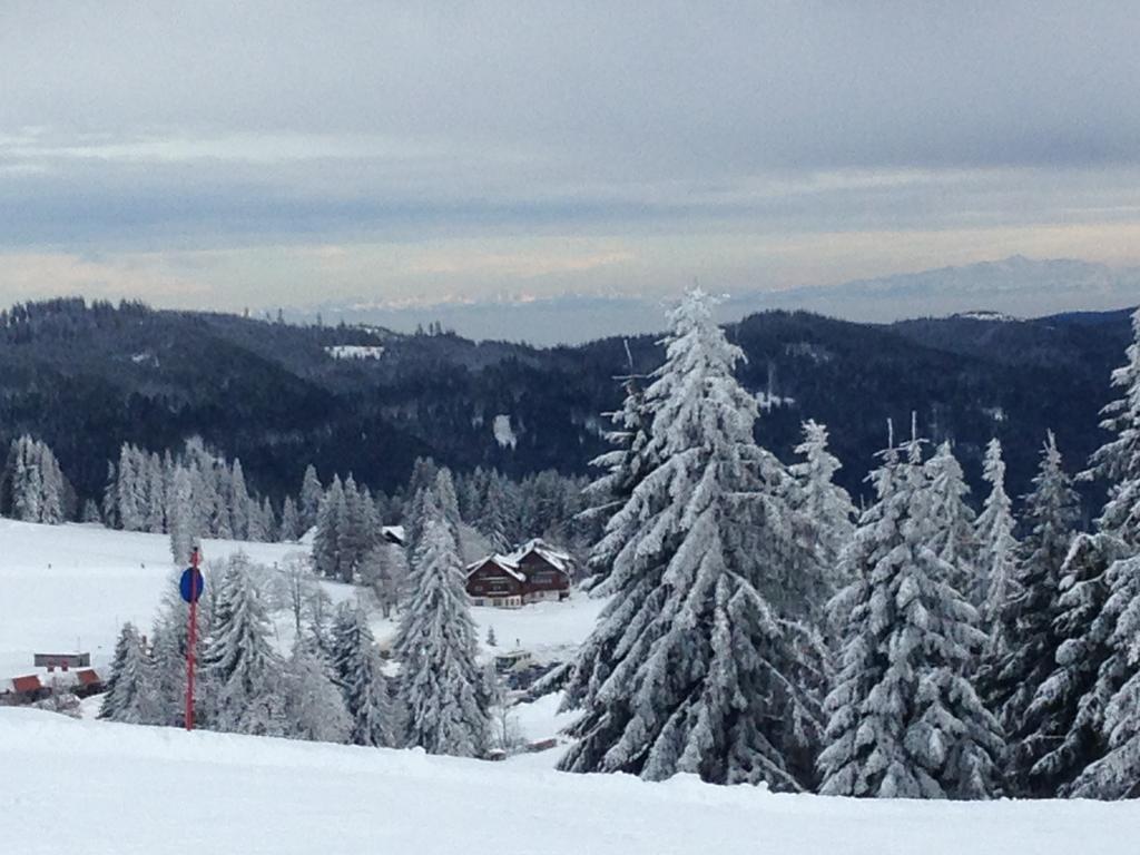 Pop-Up Stuub Feldberg Hotel Feldberg  Exterior foto